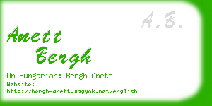 anett bergh business card